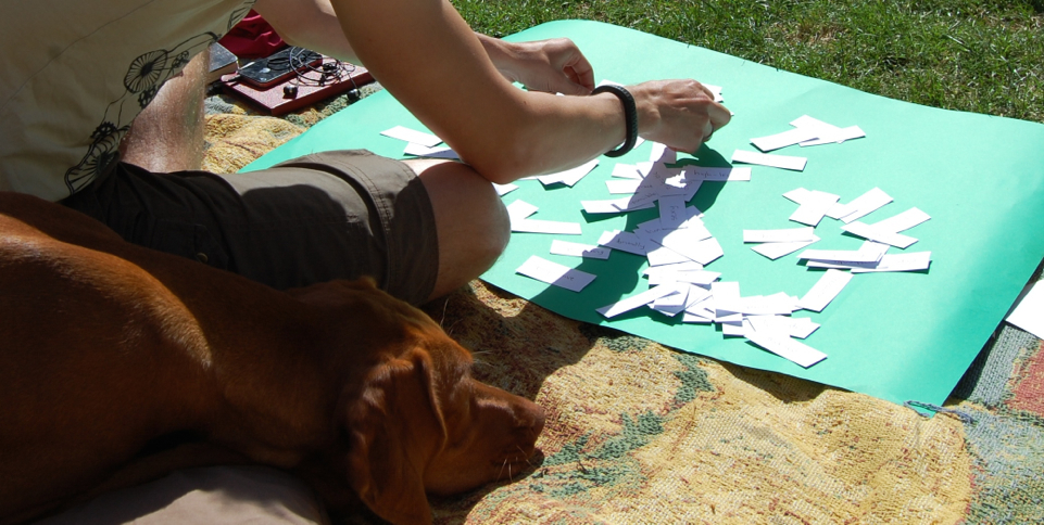 card sorting outside